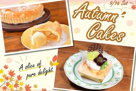【Ascot Tea Room】<br>2023.9.16～ 季節のケーキのお知らせ